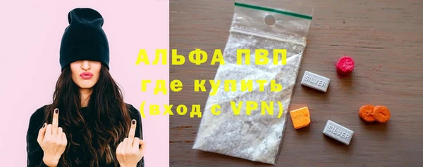 стафф Надым
