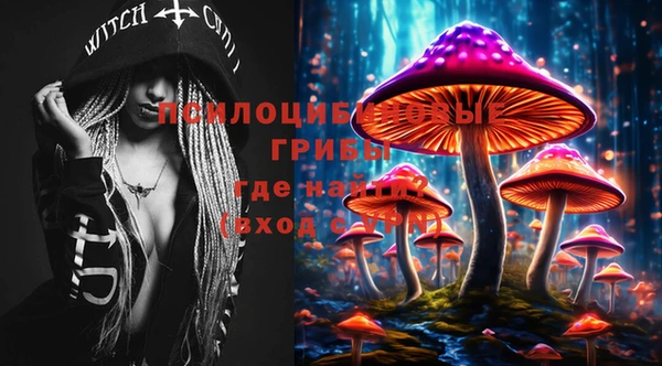 стафф Надым
