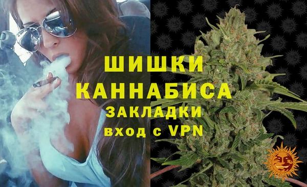 тгк Михайлов