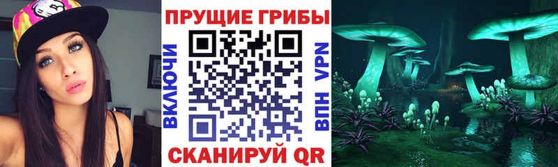 Галлюциногенные грибы ЛСД Новоалтайск