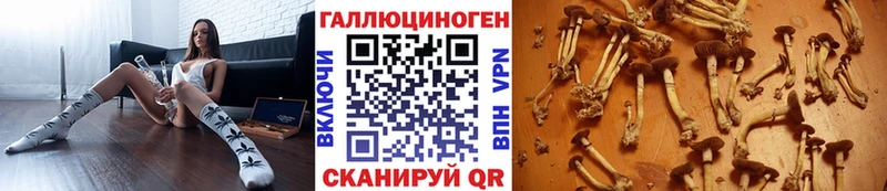 Псилоцибиновые грибы Psilocybine cubensis  купить наркоту  Новоалтайск 
