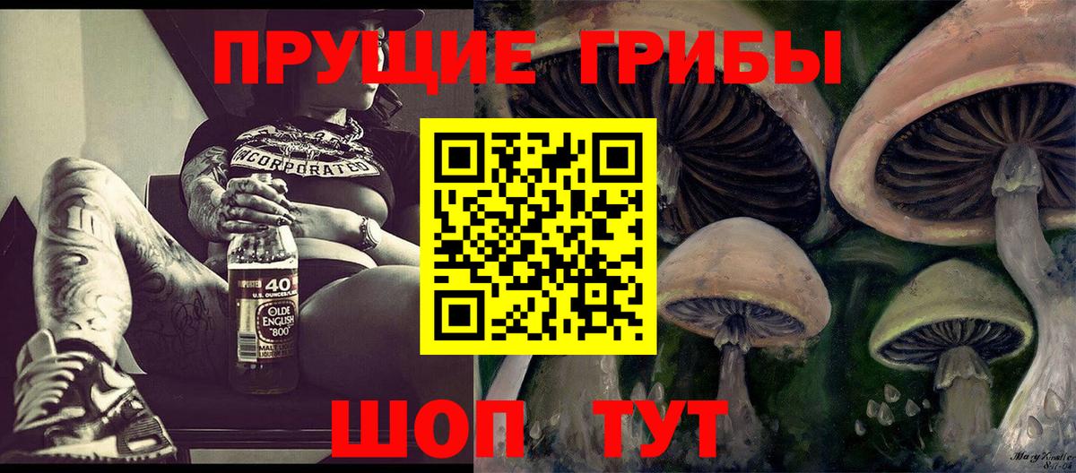 Псилоцибиновые грибы GOLDEN TEACHER  Псилоцибиновые грибы Psilocybine cubensis  купить наркоту  Новоалтайск 